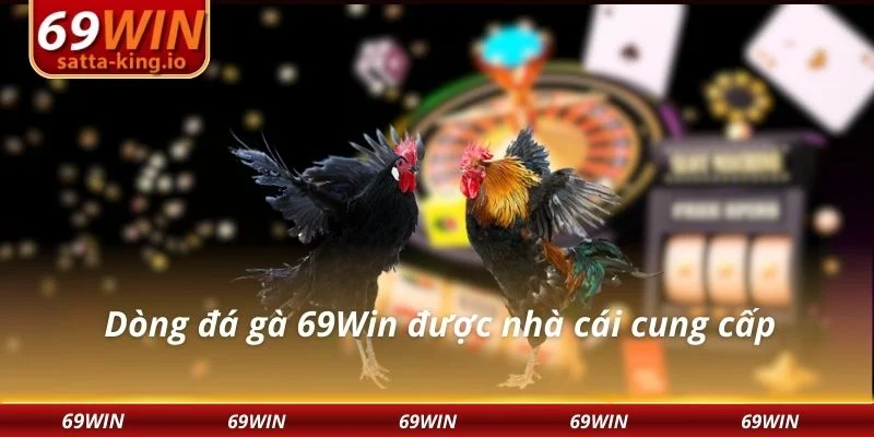 Dòng đá gà 69Win được nhà cái cung cấp