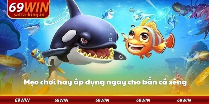 Mẹo chơi hay áp dụng ngay cho bắn cá xèng